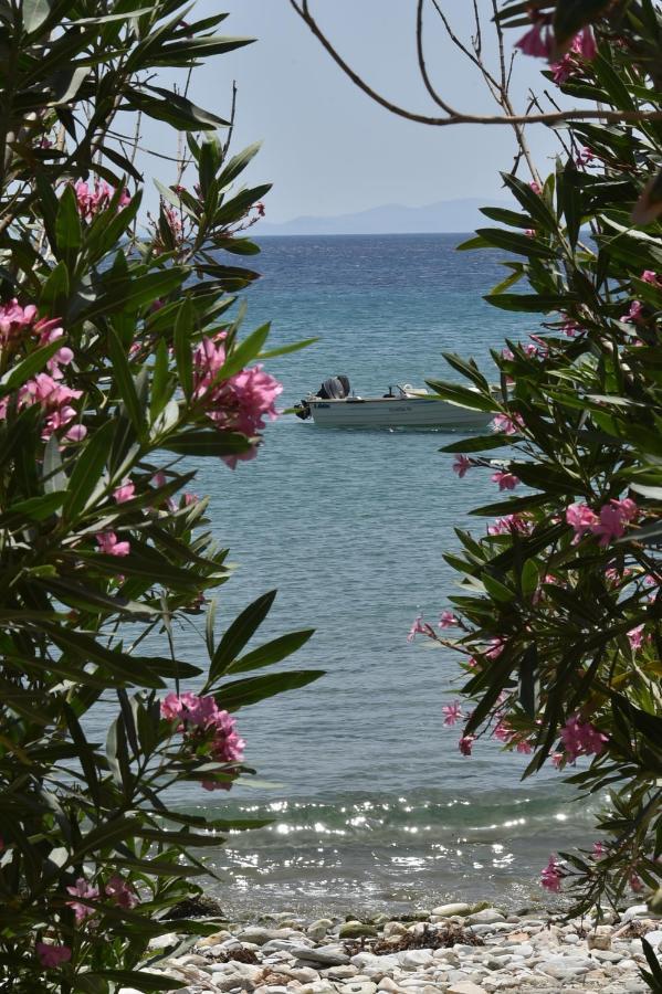 Seaside Home In Kardiani/Giannaki Bay - Agnes'S Home Kültér fotó